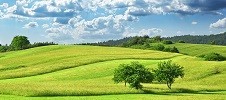 Dukascopy forex withdrawal