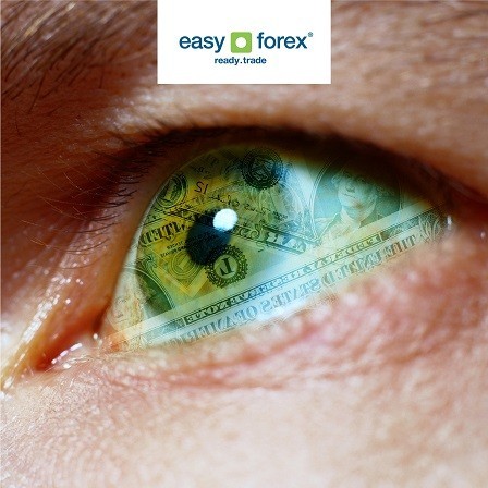 Rags to riches forex